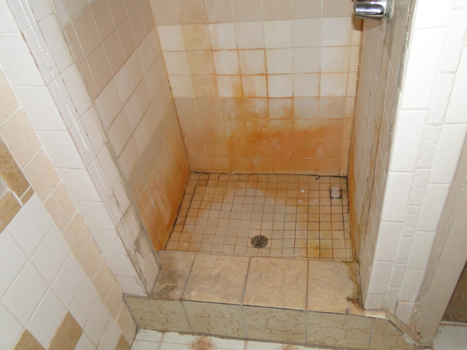 shower soap scum remover albuquerque