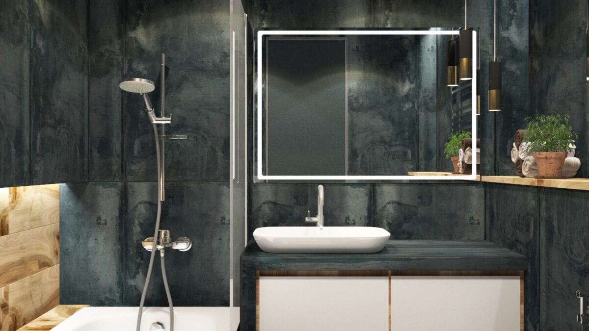 Bathtub Shower Grab Bars Albuquerque