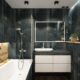Bathtub Shower Grab Bars Albuquerque
